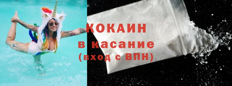 COCAIN Fish Scale  купить наркоту  Княгинино 